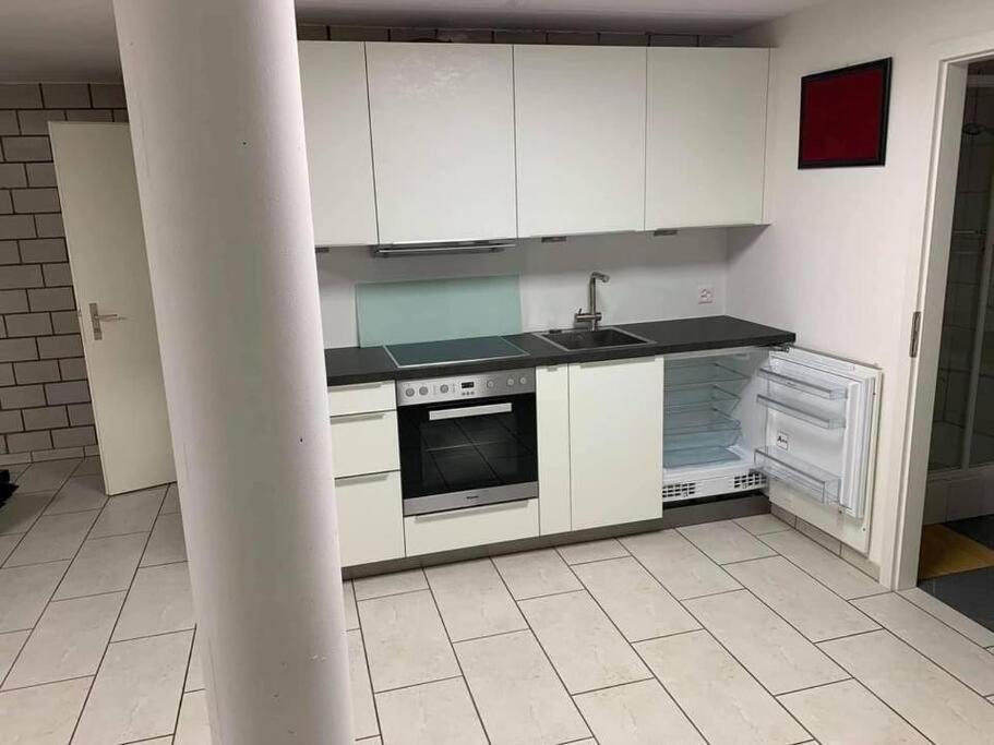 Basel - 5 Mins Away - Modern Basement Studio With Kitchen 35M2 In Muttenz Eksteriør bilde