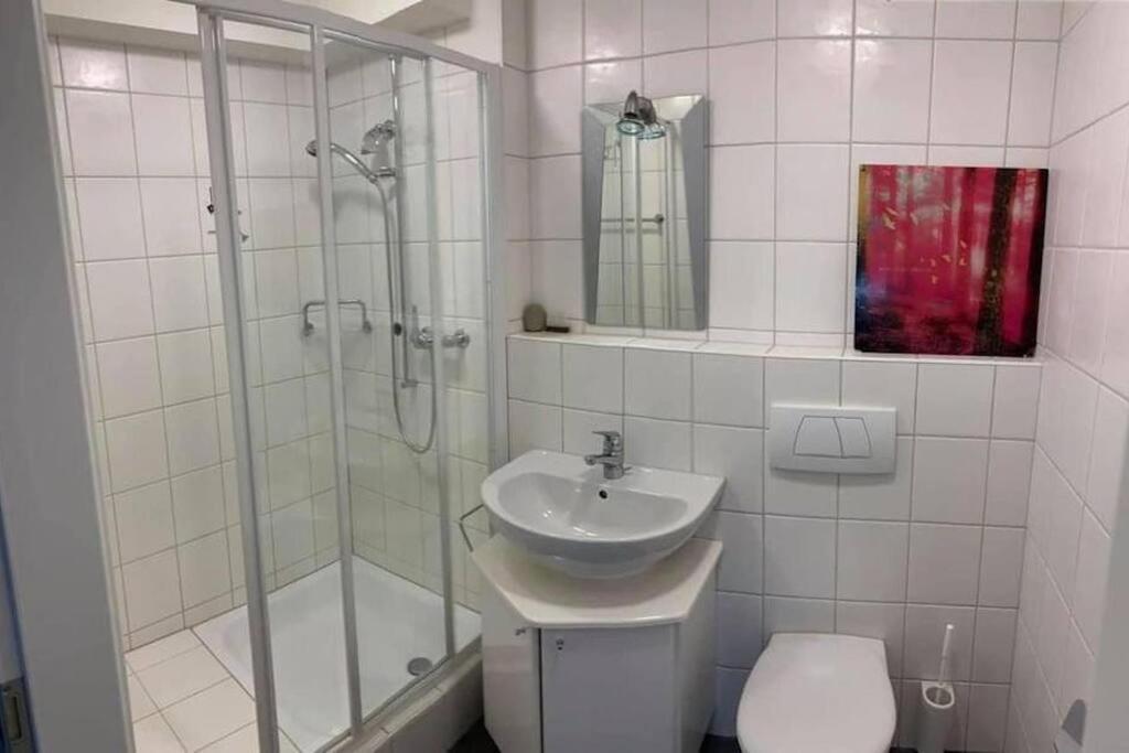 Basel - 5 Mins Away - Modern Basement Studio With Kitchen 35M2 In Muttenz Eksteriør bilde