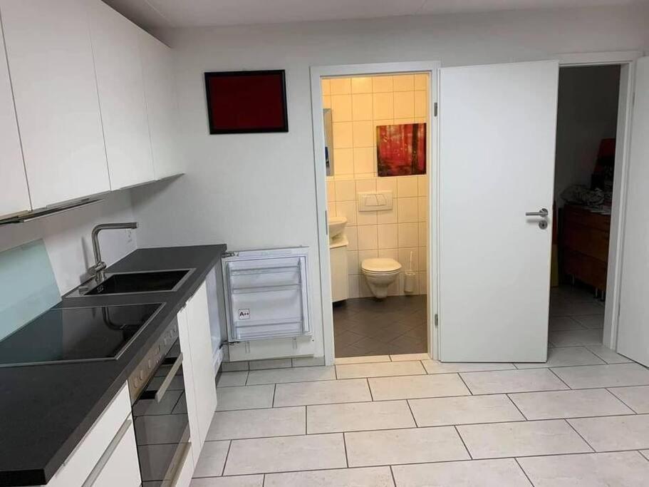 Basel - 5 Mins Away - Modern Basement Studio With Kitchen 35M2 In Muttenz Eksteriør bilde